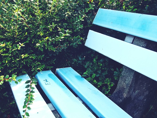 儘管本場是 儘管本場是