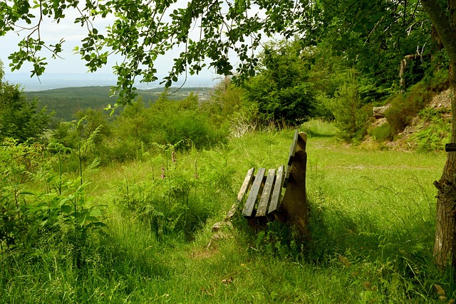 多正在努力 多正在努力